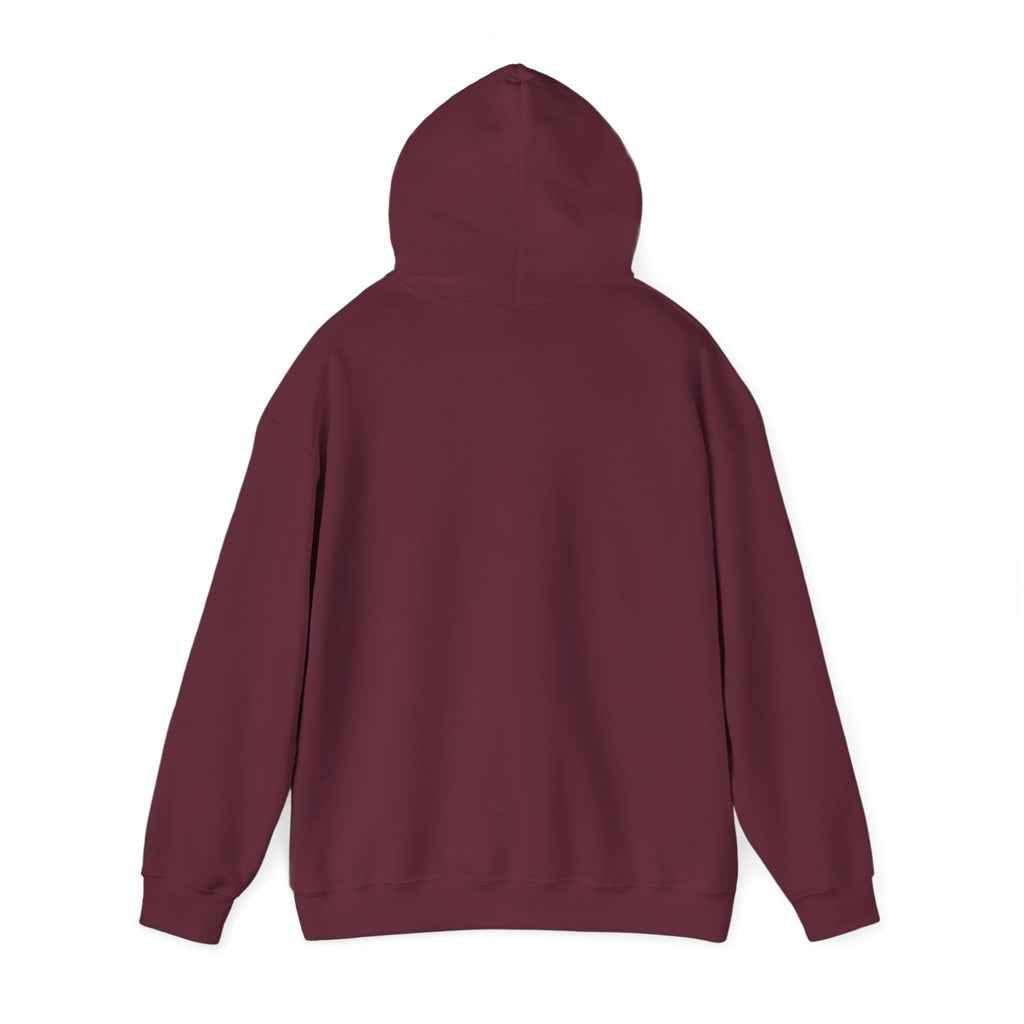CLV Hoodie (Plain Arm)