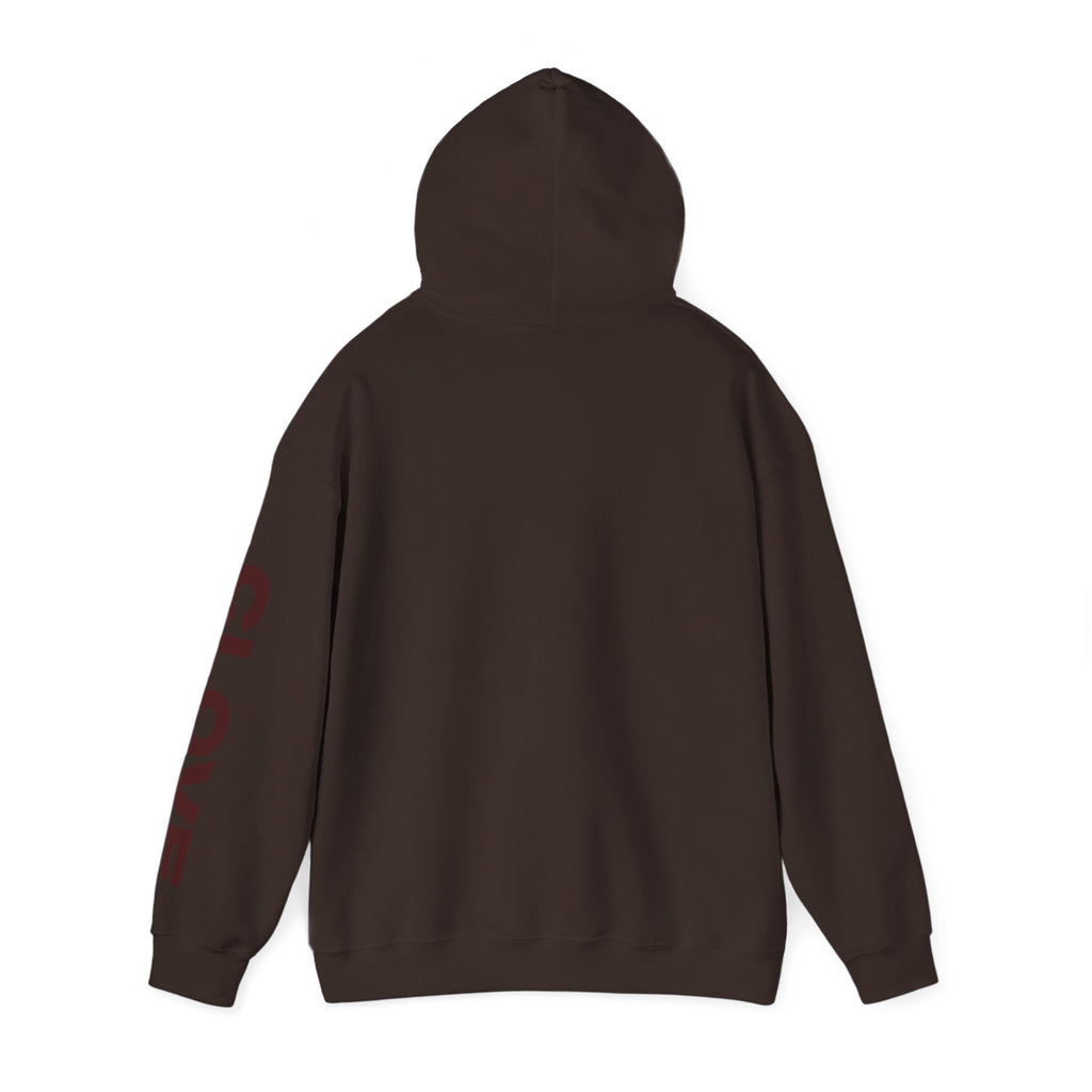 CLV Hoodie