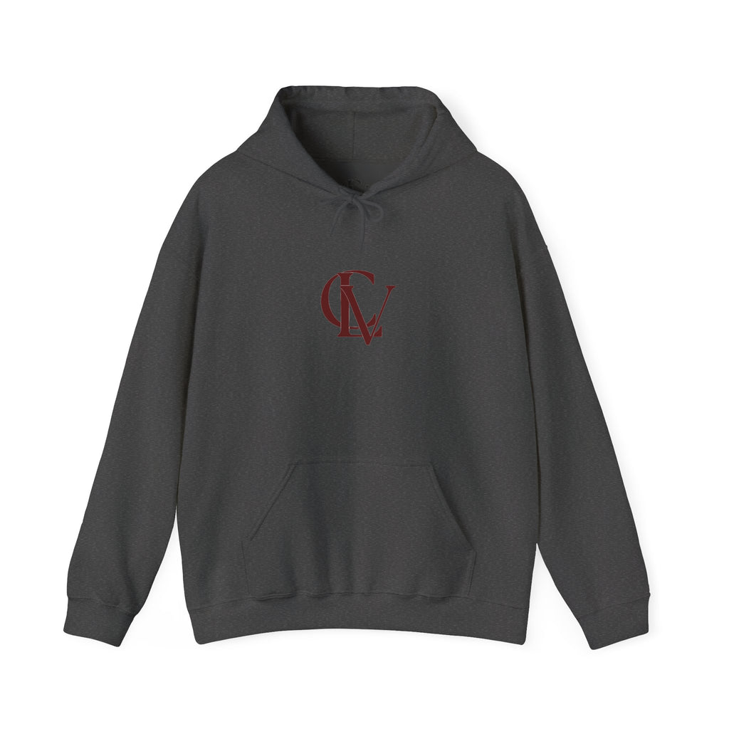 CLV Hoodie (Plain Arm)
