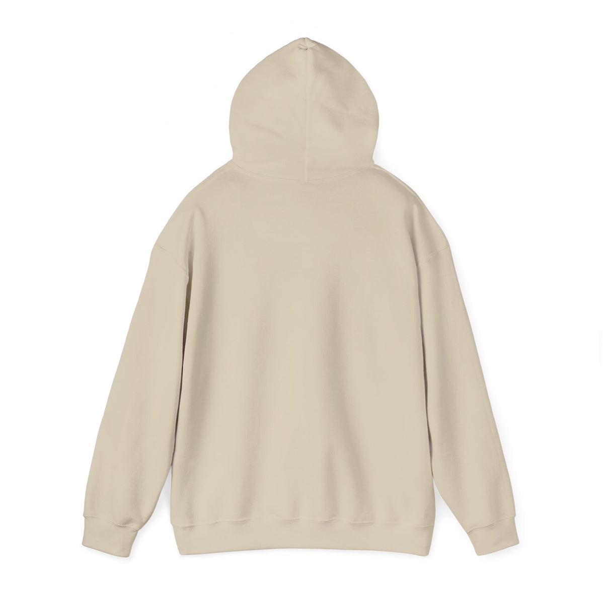 CLV Hoodie (Plain Arm)