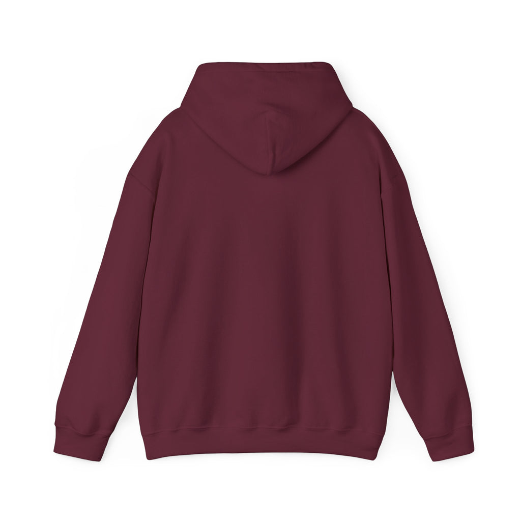 CLV Hoodie (Plain Arm)