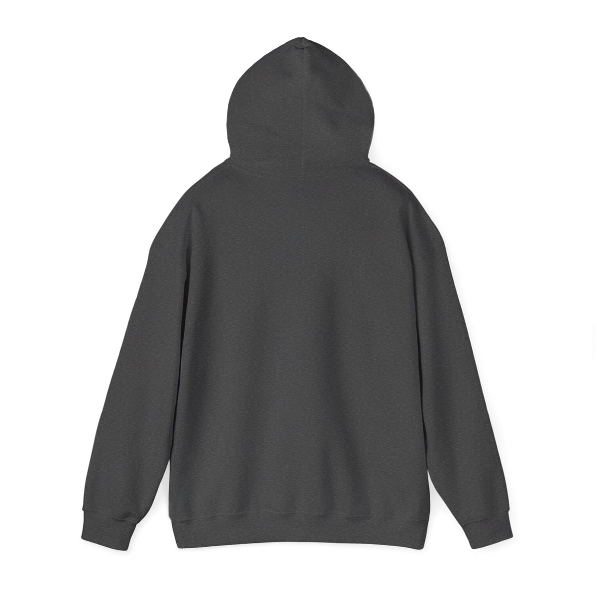 CLV Hoodie (Plain Arm)