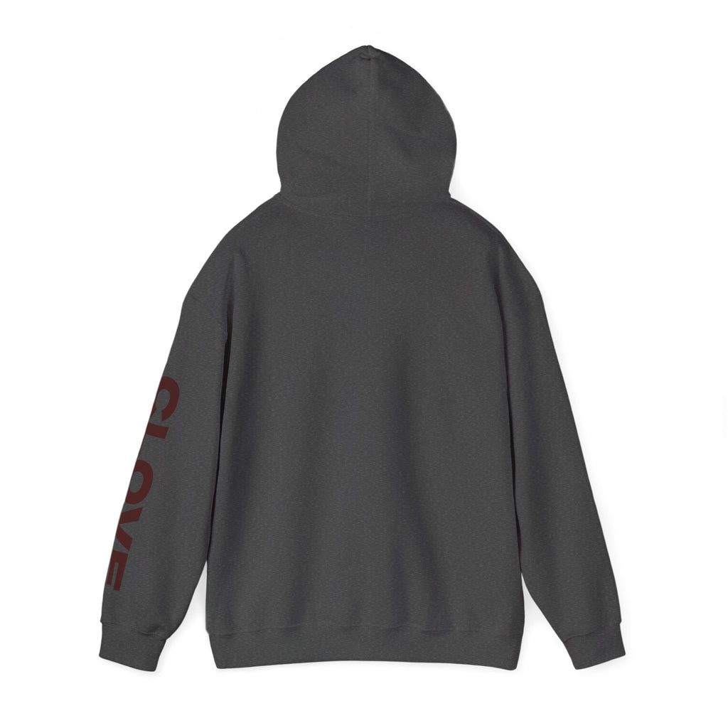CLV Hoodie