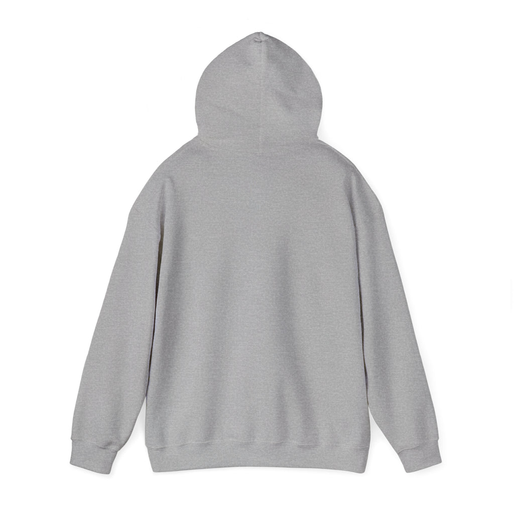 CLV Hoodie (Plain Arm)